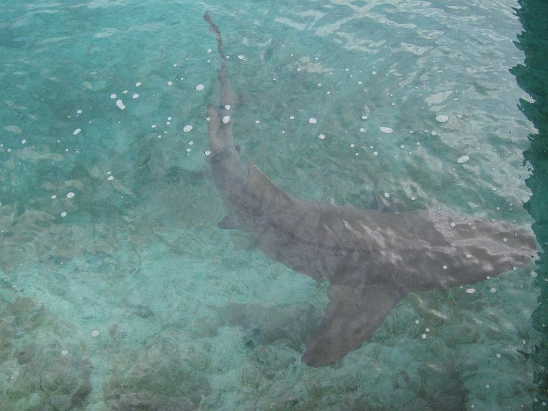 Curacao 04-12 210.JPG